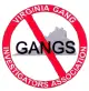 Virginia Gang Investigator's Association