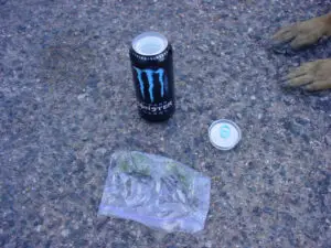 monster can 1